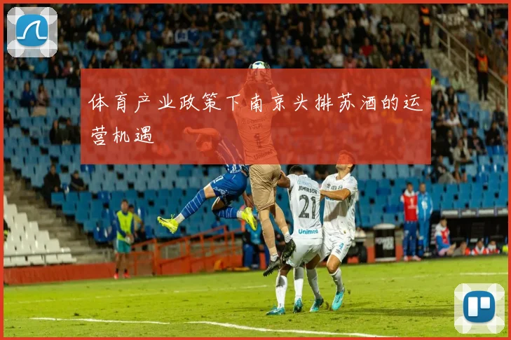 体育产业政策下南京头排苏酒的运营机遇