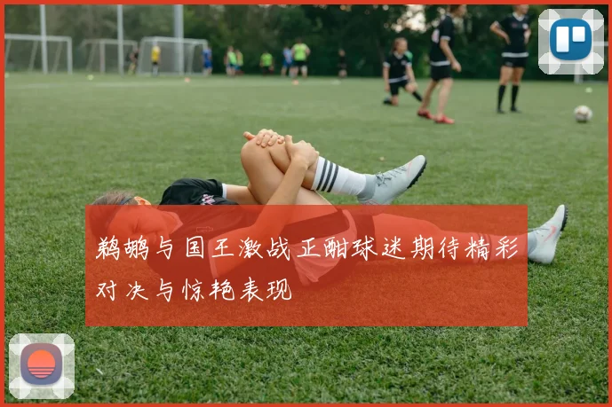 鹈鹕与国王激战正酣球迷期待精彩对决与惊艳表现