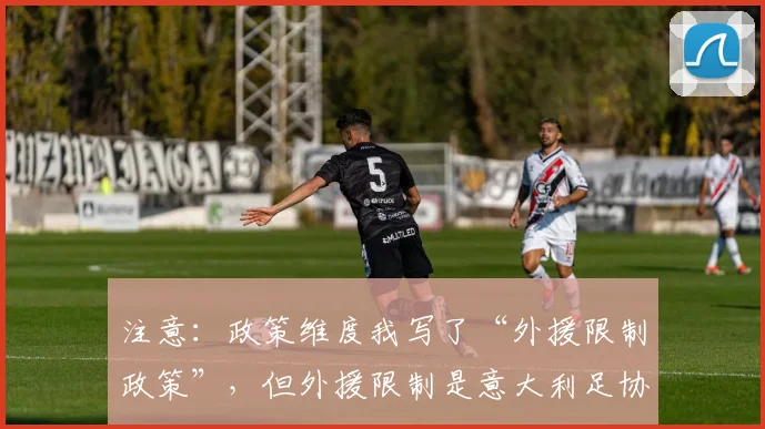注意：政策维度我写了“外援限制政策”，但外援限制是意大利足协政策，可以。社会维度用了“球迷冲突”有点负面，但可以。确保每