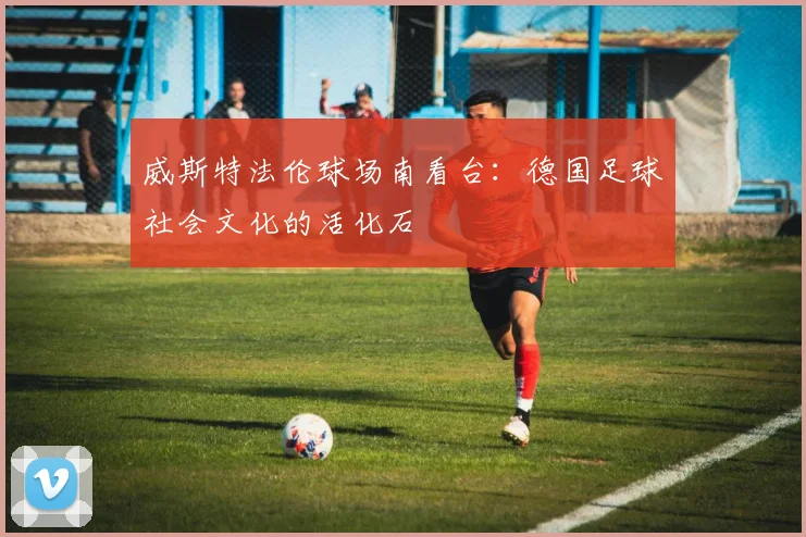 威斯特法伦球场南看台：德国足球社会文化的活化石