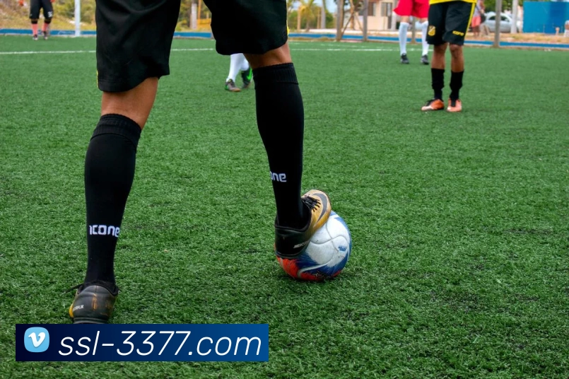 数据防护可视化